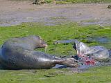 Spring Workshop 2015 009 : California, Elkhorn Slough, LOCATION, LOCATION & SUBJECT KEYWORDS, Monterey Bay, North America, USA